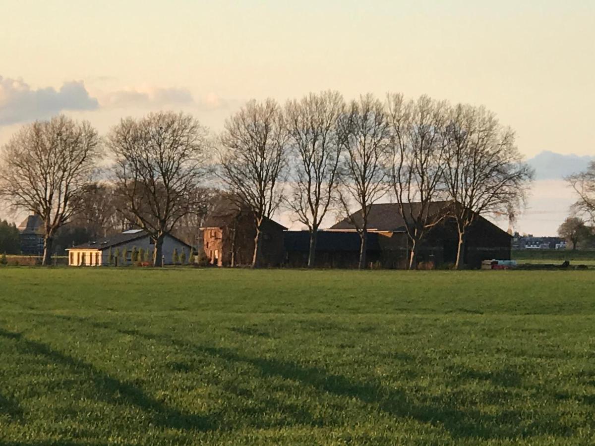 Koenigsgut Emmericher Eyland Kalkar Esterno foto