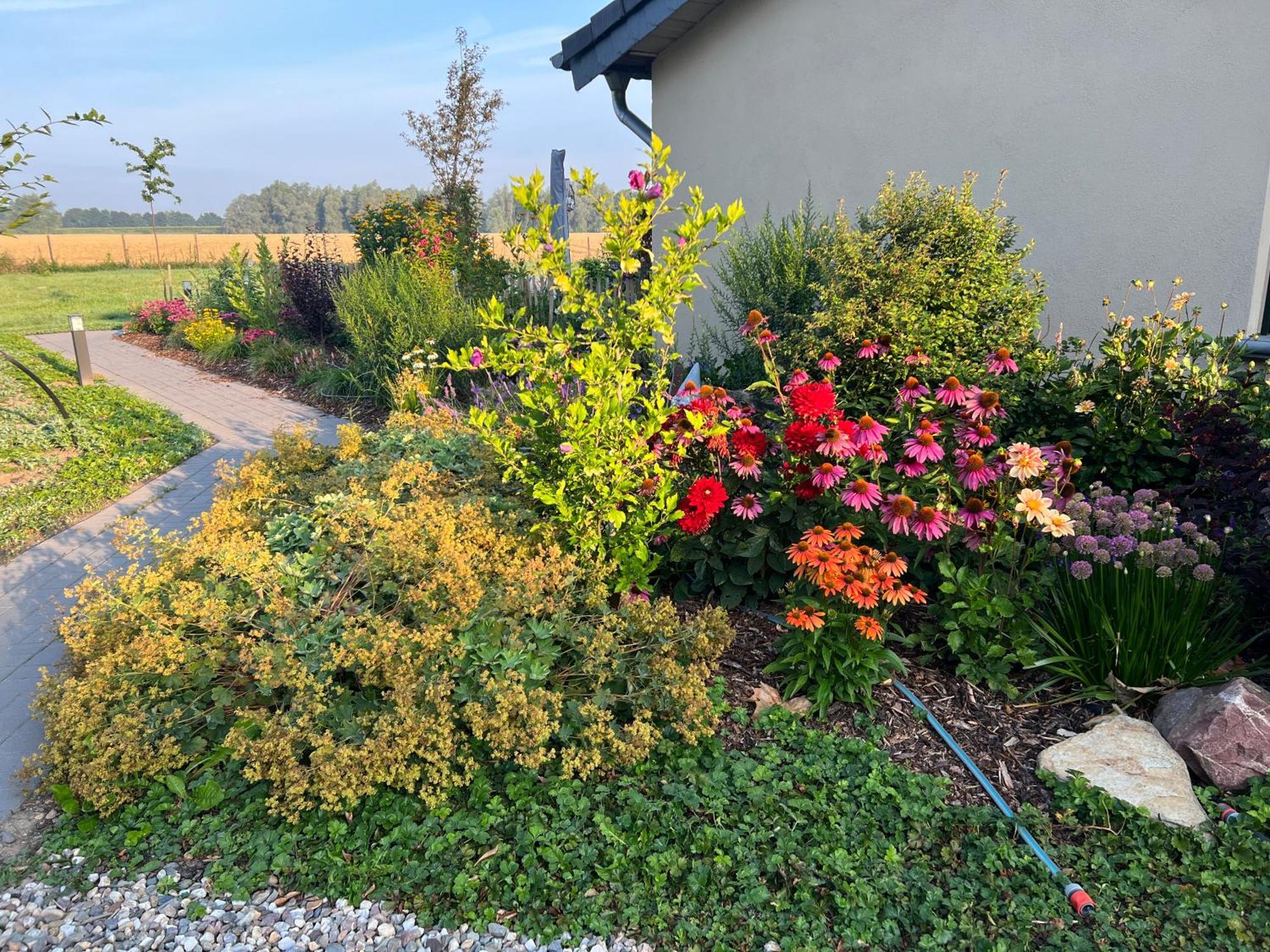Koenigsgut Emmericher Eyland Kalkar Esterno foto